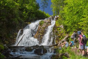 Fairy Creek Falls Fernie