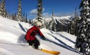 Powder Season in Fernie