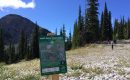 Hiking Lost Boys Pass at Fernie Alpine Resort